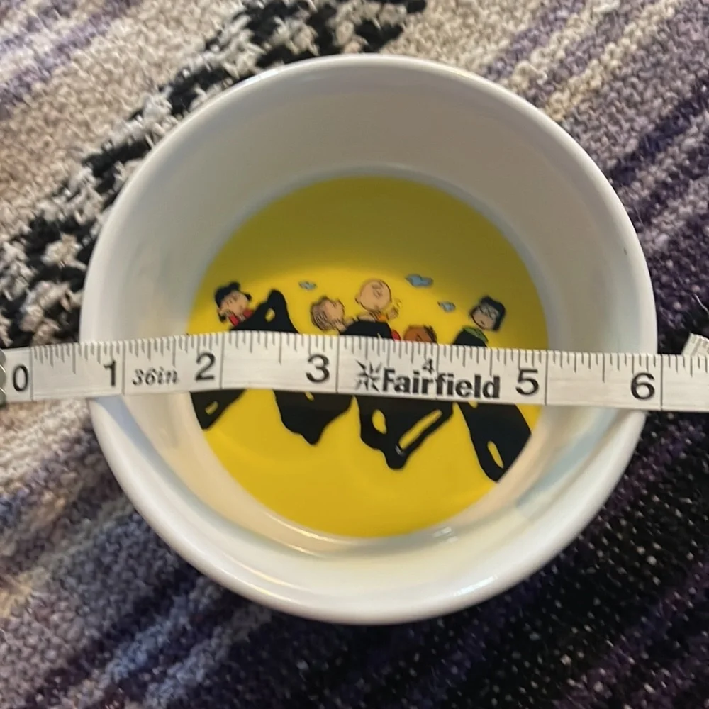 Peanuts Snoopy Pet Food Bowl Charlie Brown Stoneware